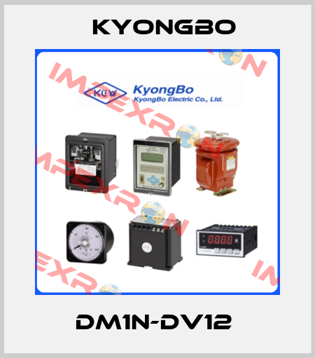 DM1N-DV12  Kyongbo