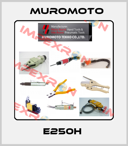 E250H  Muromoto