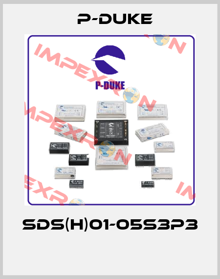 SDS(H)01-05S3P3  P-DUKE