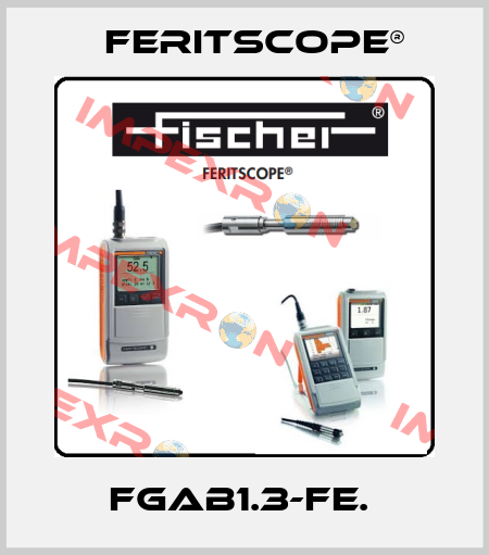 FGAB1.3-FE.  Feritscope®