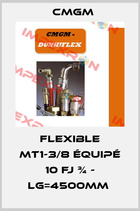 Flexible MT1-3/8 équipé 10 FJ ¾ - LG=4500mm  Cmgm
