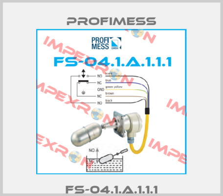 FS-04.1.A.1.1.1 Profimess