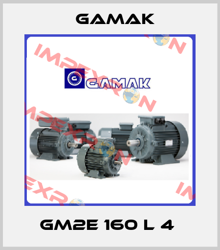GM2E 160 L 4  Gamak