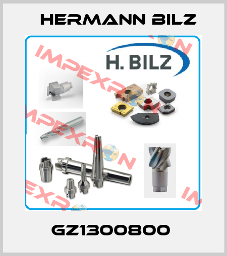 GZ1300800  Hermann Bilz