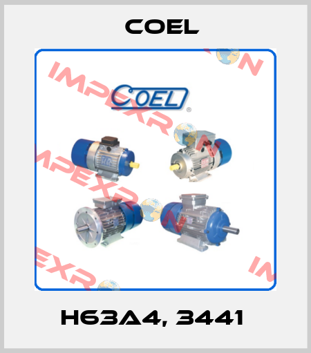 H63A4, 3441  Coel