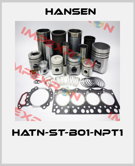 HATN-ST-B01-NPT1  Hansen
