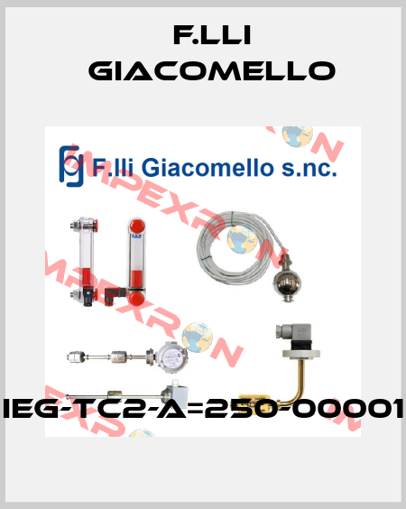 IEG-TC2-A=250-00001 Giacomello