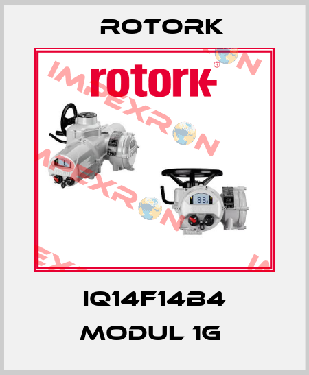 IQ14F14B4 MODUL 1G  Rotork