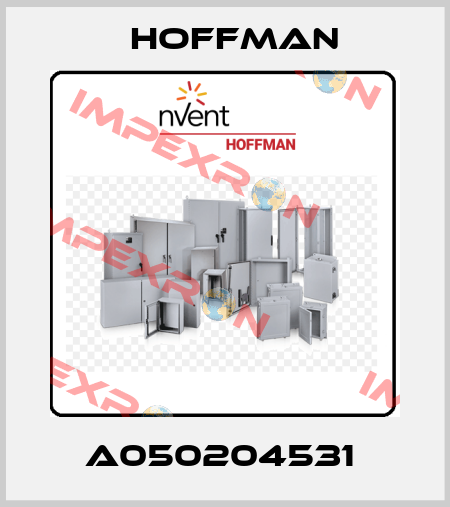 A050204531  Hoffman