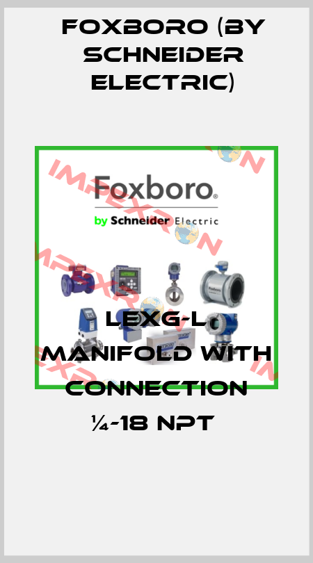 LEXG-L MANIFOLD WITH CONNECTION ¼-18 NPT  Foxboro (by Schneider Electric)