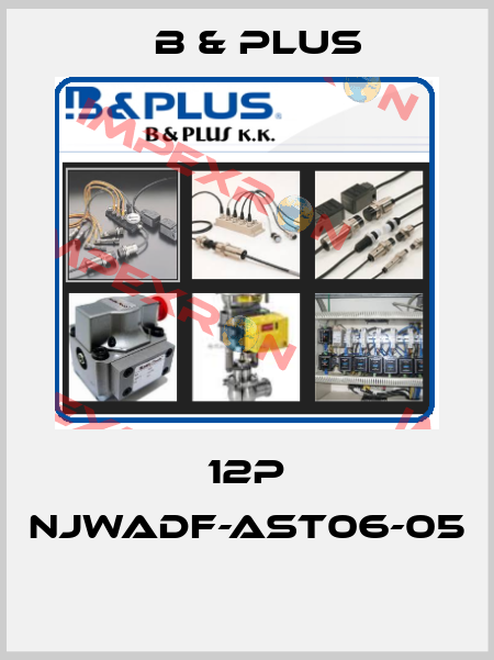 12P NJWADF-AST06-05  B & PLUS