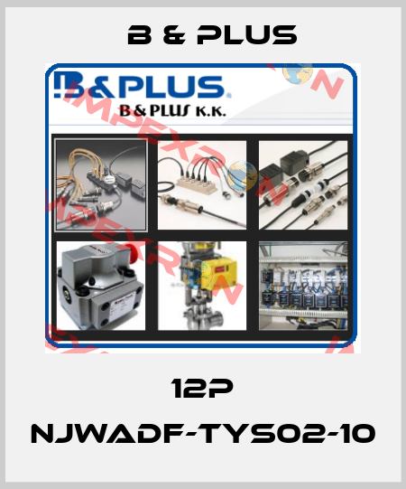 12P NJWADF-TYS02-10 B & PLUS