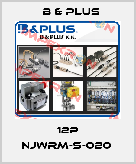 12P NJWRM-S-020  B & PLUS