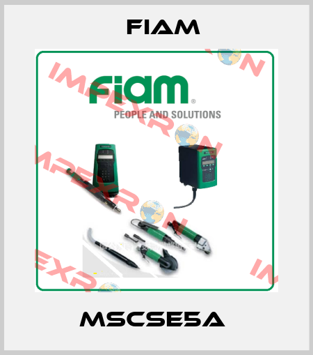 MSCSE5A  Fiam
