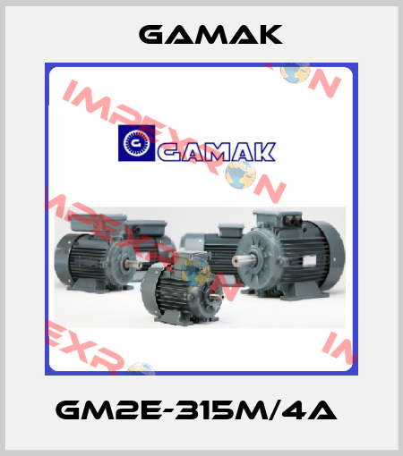 GM2E-315M/4A  Gamak