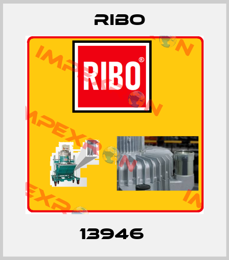 13946  Ribo