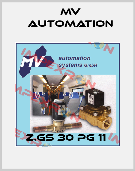 Z.GS 30 PG 11  MV automation