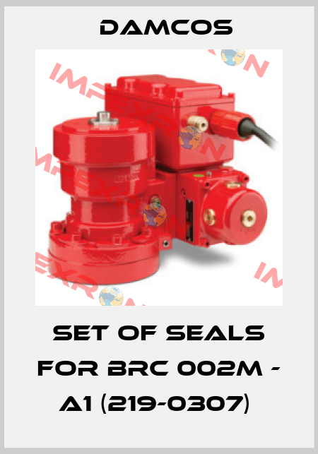 SET OF SEALS FOR BRC 002M - A1 (219-0307)  Damcos