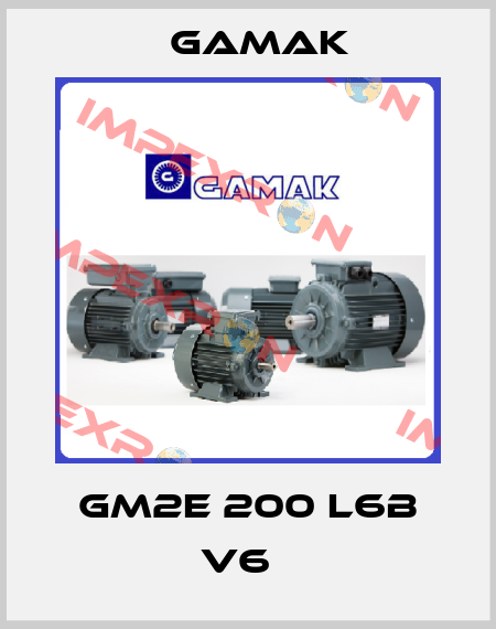GM2E 200 L6b V6   Gamak
