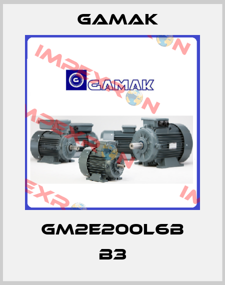 GM2E200L6b B3 Gamak