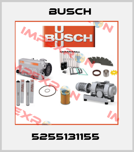 5255131155  Busch