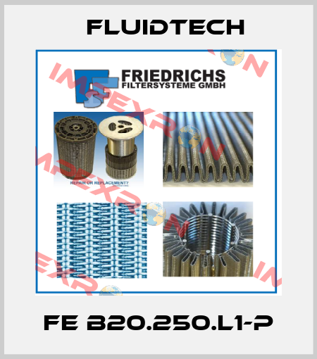 FE B20.250.L1-P Fluidtech
