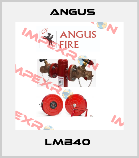 LMB40  Angus