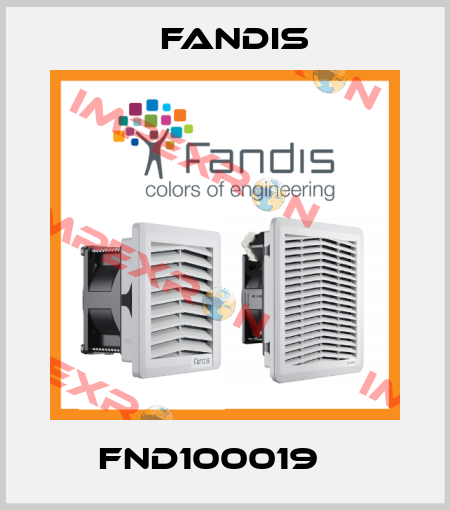 FND100019    Fandis