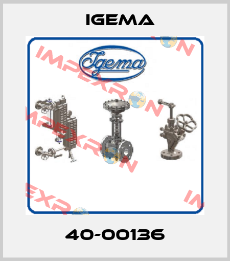 40-00136 Igema