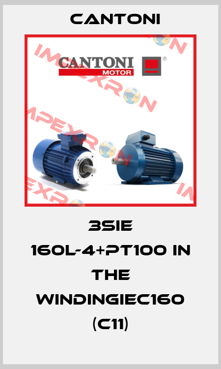 3SIE 160L-4+PT100 in the windingIEC160 (C11) Cantoni