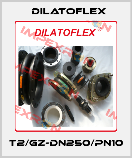 T2/GZ-DN250/PN10 DILATOFLEX