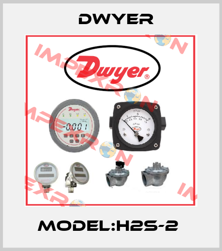 MODEL:H2S-2  Dwyer