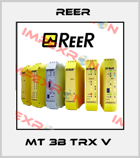 MT 3B TRX V  Reer