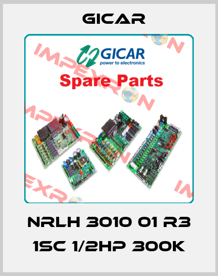 NRLH 3010 01 R3 1SC 1/2HP 300K GICAR