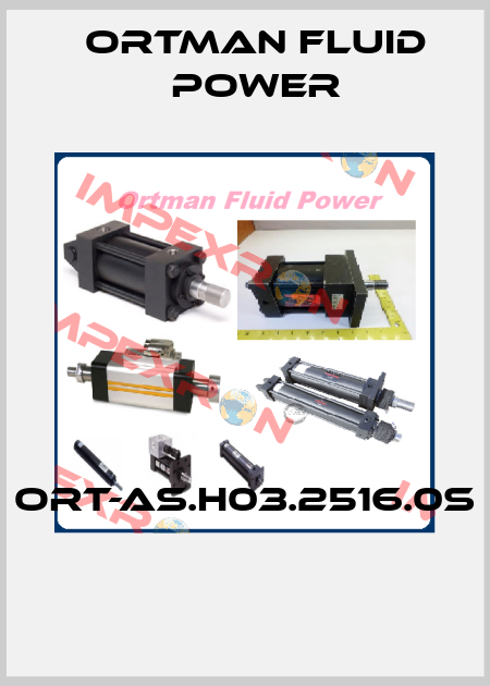 ORT-AS.H03.2516.0S  Ortman Fluid Power