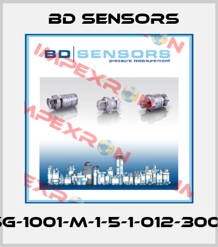 18.605G-1001-M-1-5-1-012-300-1-000 Bd Sensors