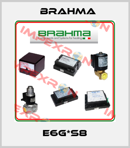 E6G*S8 Brahma