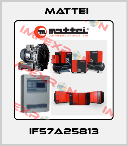 IF57A25813 MATTEI