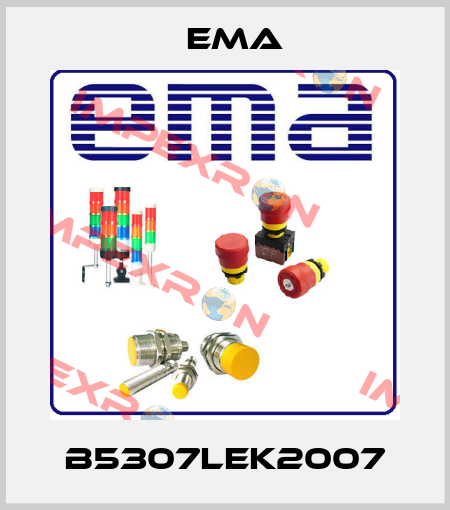 B5307LEK2007 EMA