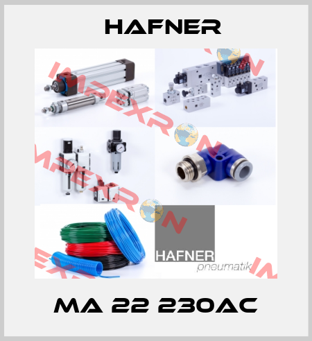 MA 22 230AC Hafner