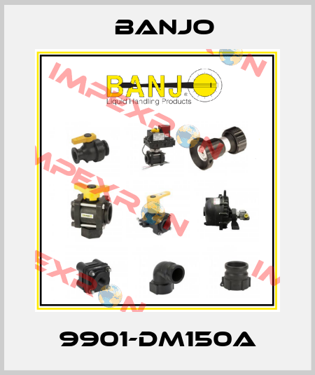 9901-DM150A Banjo