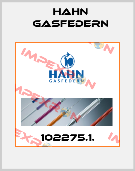 102275.1. Hahn Gasfedern