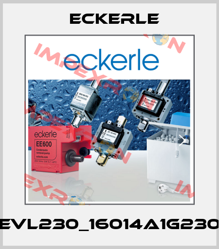 EVL230_16014A1G230 Eckerle