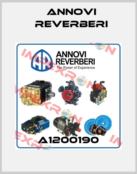 A1200190 Annovi Reverberi