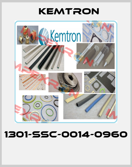1301-SSC-0014-0960  KEMTRON