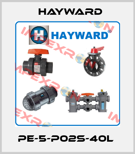 PE-5-P02S-40L  HAYWARD