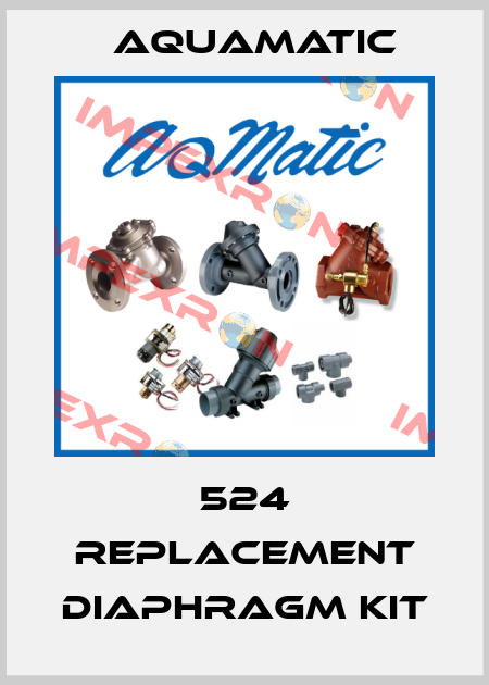 524 replacement diaphragm kit AquaMatic