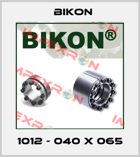 1012 - 040 X 065 Bikon