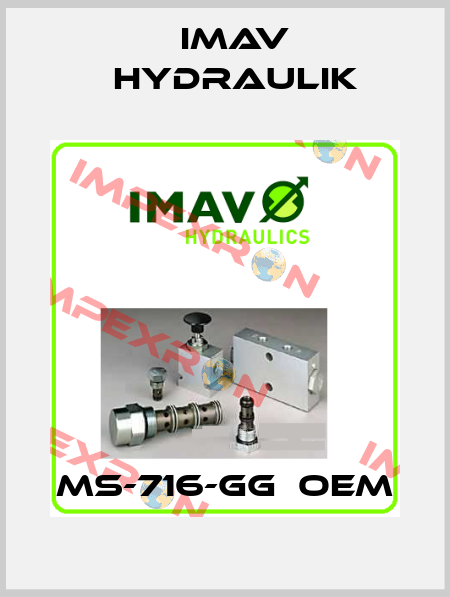 MS-716-GG  oem IMAV Hydraulik