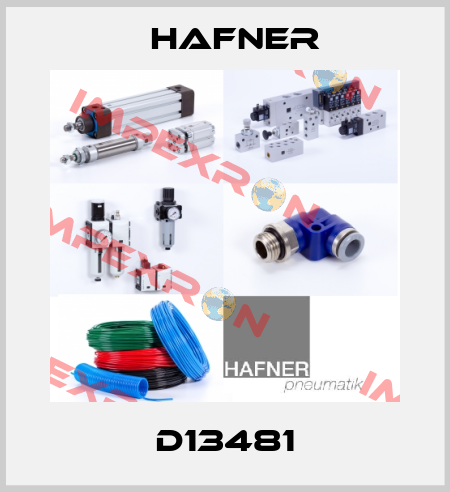 D13481 Hafner